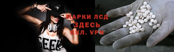 винт Алзамай